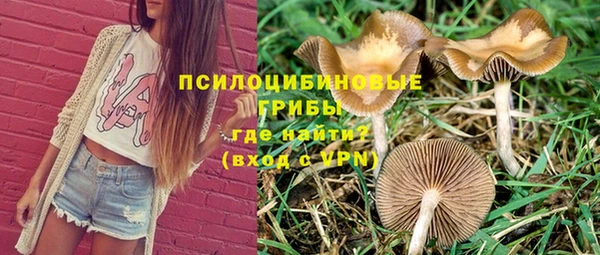 экстази Шадринск