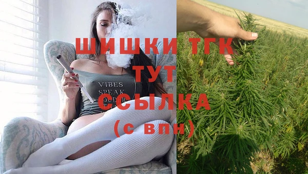 Альфа ПВП Карпинск