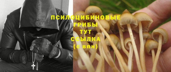мяу мяу мука Кинешма