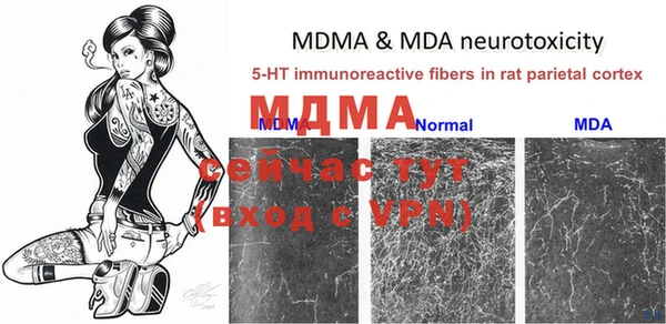 мяу мяу мука Кинешма