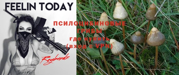 apvp Карталы