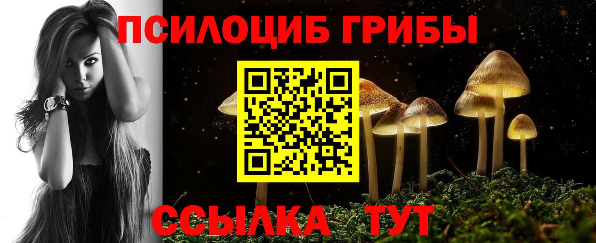 Калининград  Галлюциногенные грибы Psilocybe  Вход с VPN  купить закладку  Галлюциногенные грибы прущие грибы 